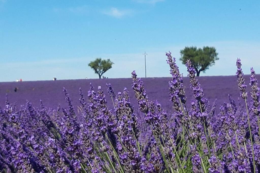 Lou Paradiu Du Verdon Allemagne-en-Provence Exteriör bild