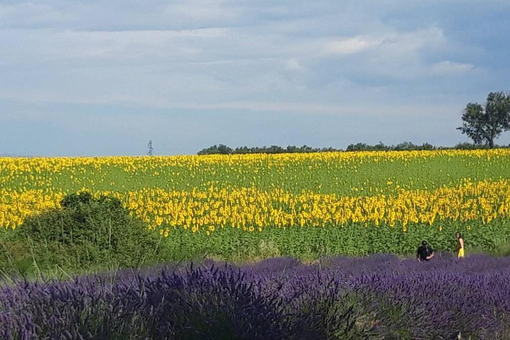 Lou Paradiu Du Verdon Allemagne-en-Provence Exteriör bild